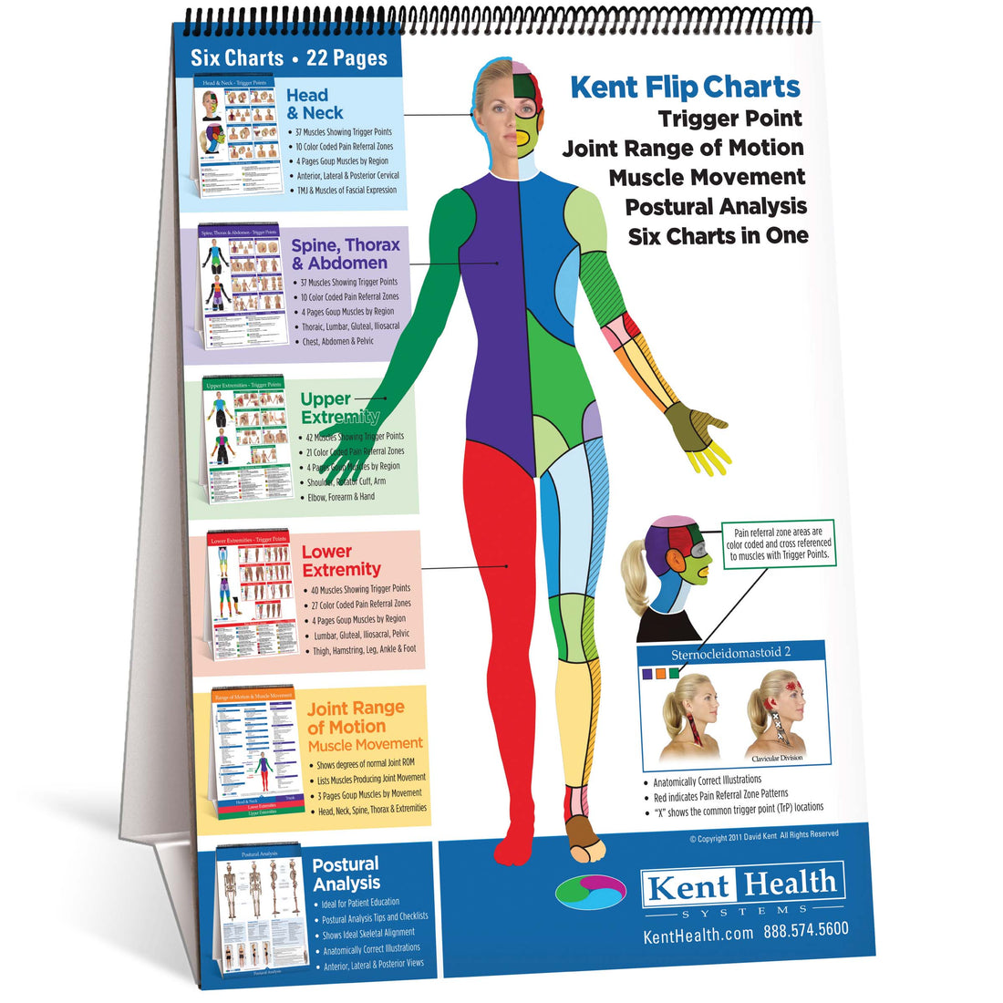 Trigger Point Flip Chart – Kent Health Systems