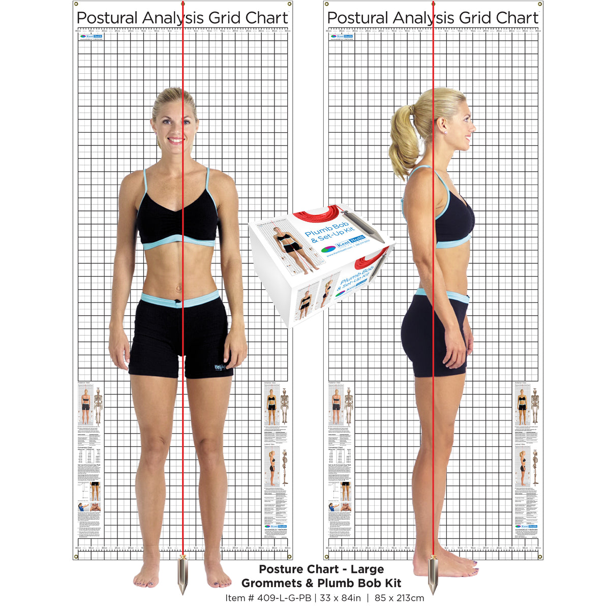 Postural Analysis Grid Chart - Large / Wall – Kent Health Systems