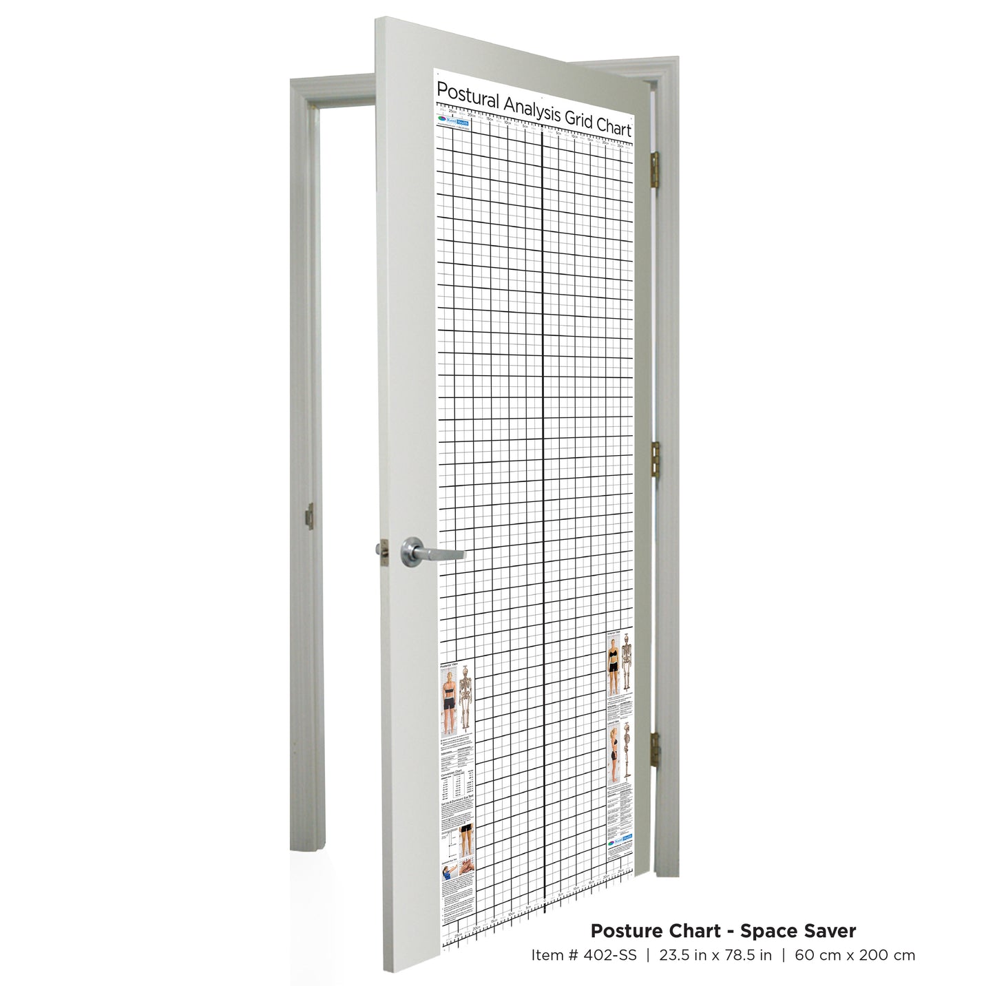 Postural Analysis Grid Chart - Door / Space Saver