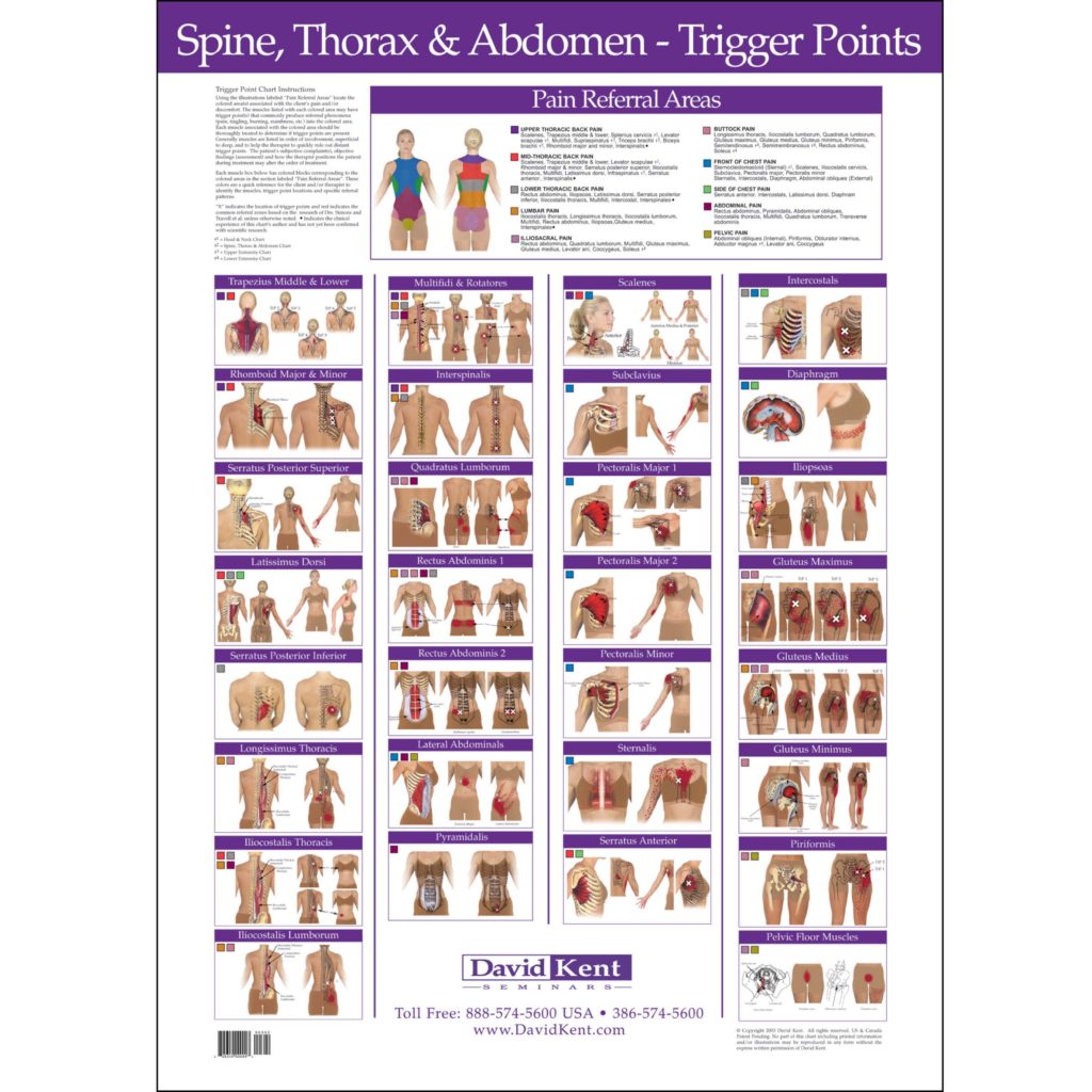 Trigger Point Charts Chart Set Kent Health System