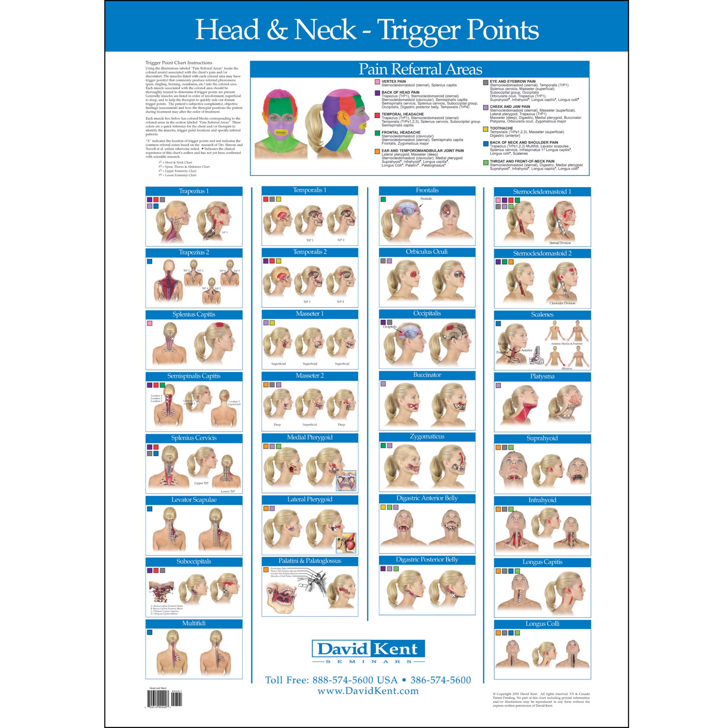 travell and simons trigger point chart