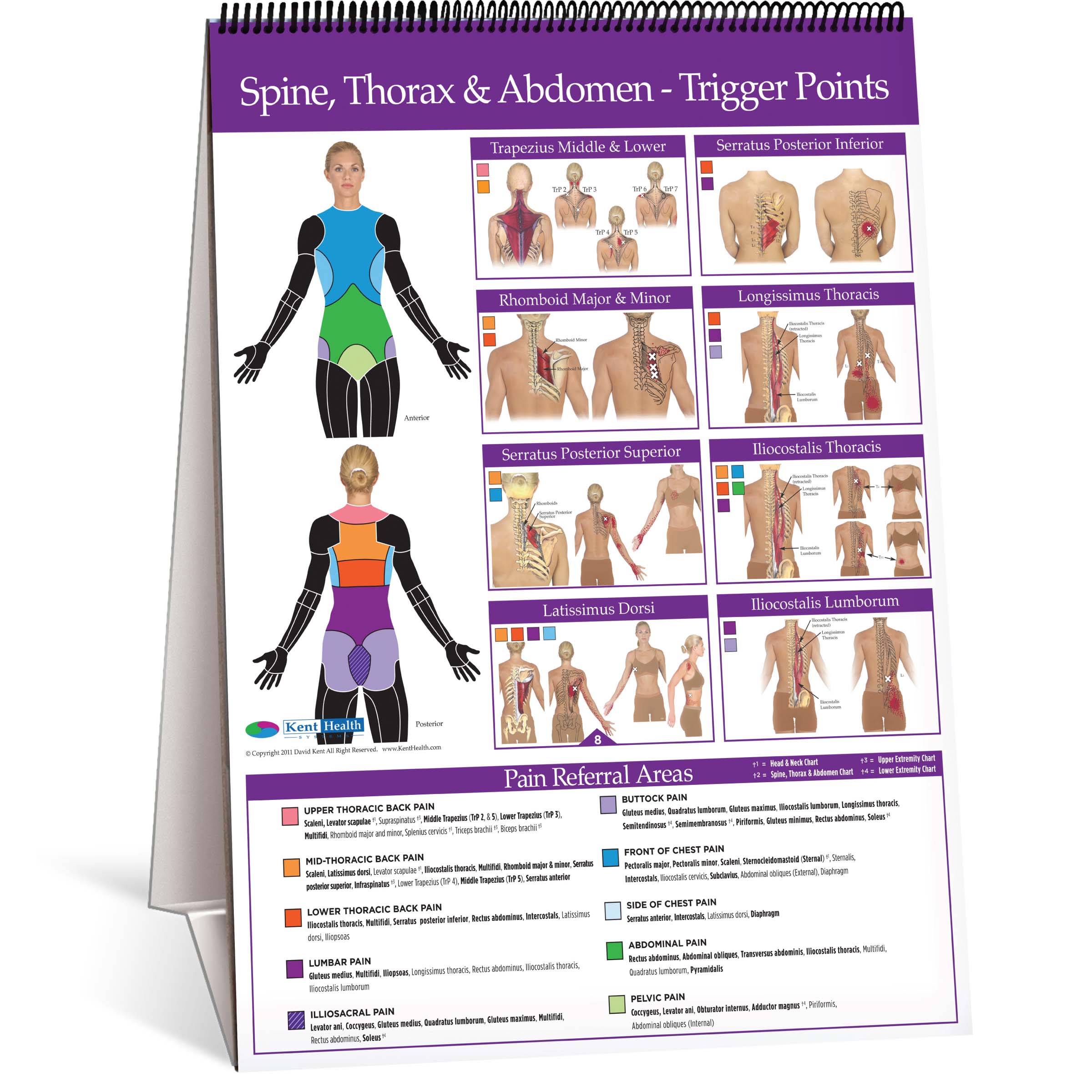 Flip Chart Trigger Point Kent Health Systems