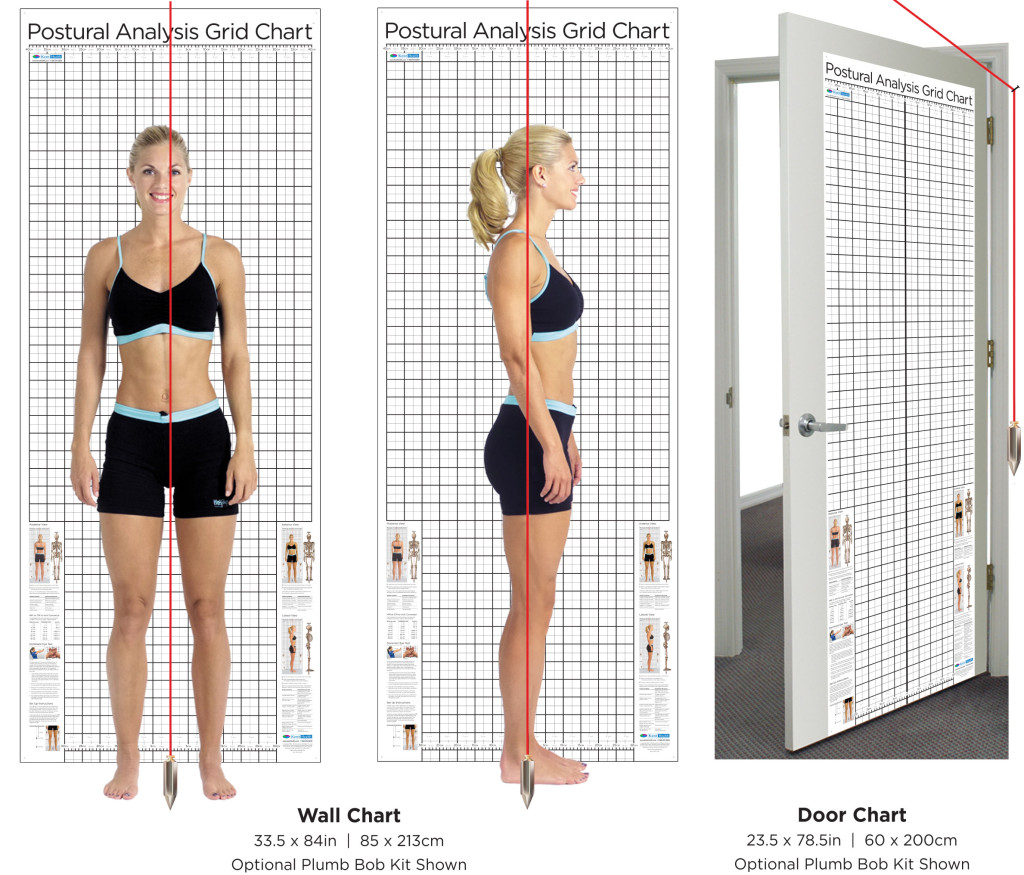 Postural Analysis Grid Chart